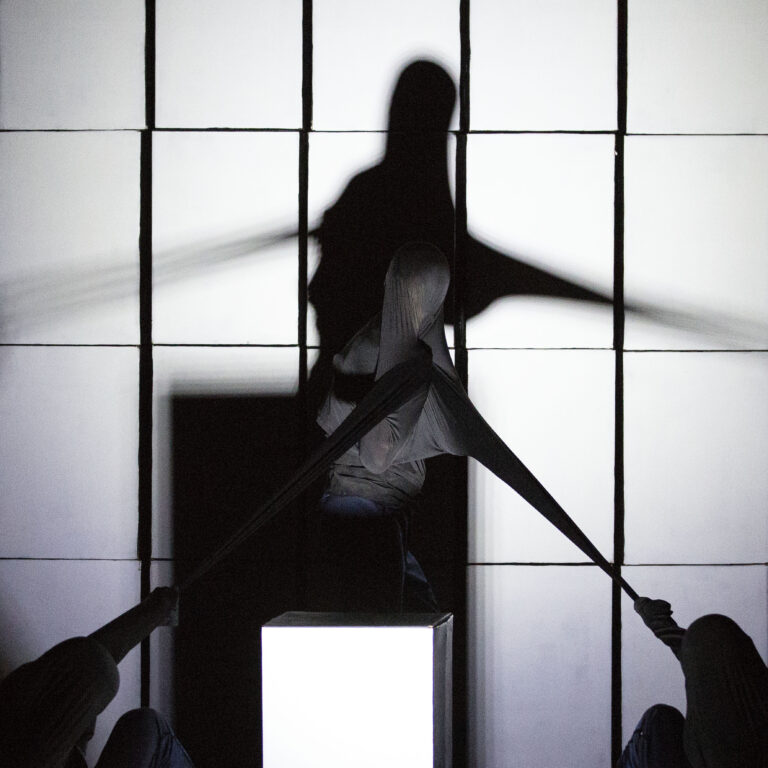 Devenir Hibou [ La Zampa ]